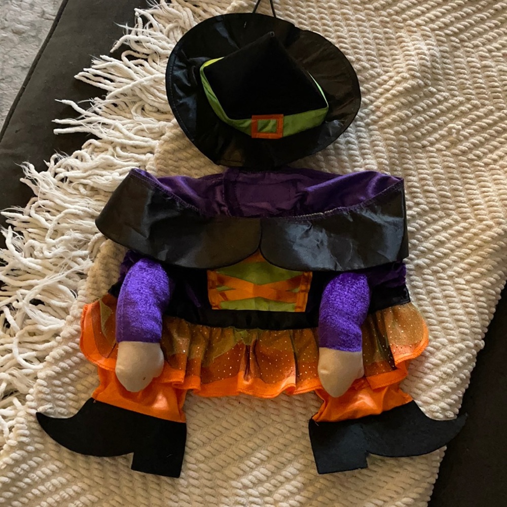 Dog witch Halloween costume
